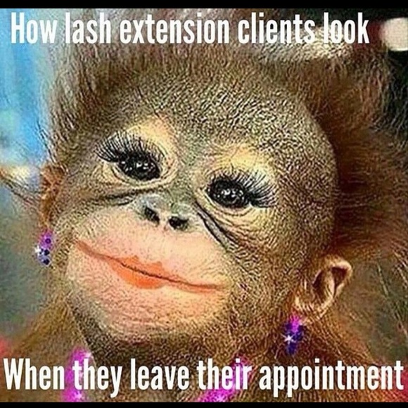 Meet your Posher, Stella - Picture 1 of 1